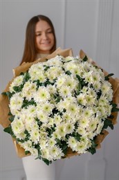 Белые хризантемы 31 шт 149350
