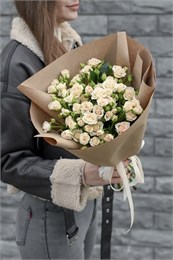 Крем Грация куст 9 шт 8972344433