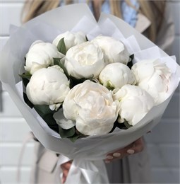 Белые пионы в пленке (9шт) 9708
