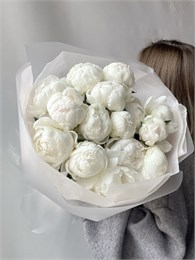 Белые пионы в пленке (15шт) 9711