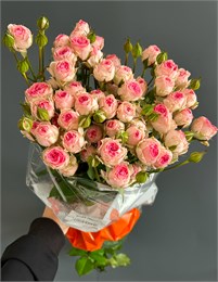 Кустовые розы Кейт (пачка 10шт) 080808080