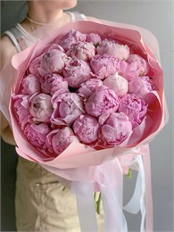 Пионы розовые в красивой упаковке (21шт) 429088888