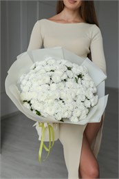 Хризантема Сантини пушистая (белая, 25шт) 3216655675