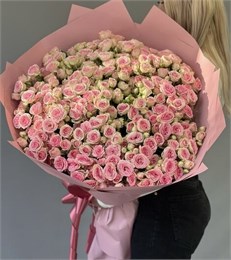 Кустовые розы Кейт в пленке (51шт) 859674