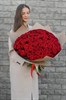 Красная роза 60см одн 101шт 149229 - фото 629873